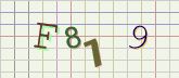 This is a captcha-picture. It is used to prevent mass-access by robots. (see: www.captcha.net)